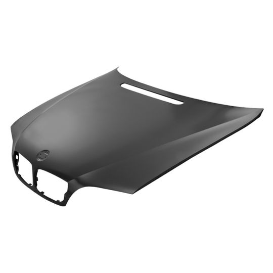 tong-yang-cofre-bmw-serie-3-2002-2005-330ci-0