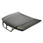 tong-yang-cofre-bmw-serie-3-2006-323i-0