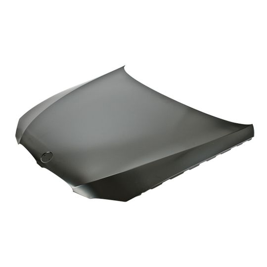 tong-yang-cofre-bmw-serie-3-2006-2008-325i-0