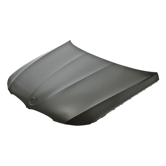 tong-yang-cofre-bmw-serie-3-2009-2011-335d-0