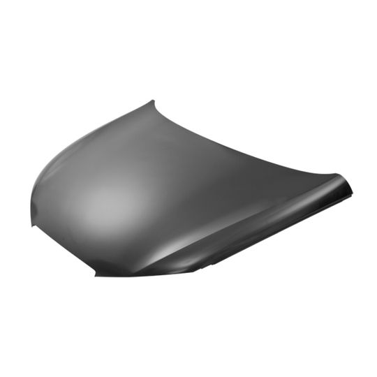 tong-yang-cofre-seat-ibiza-2009-2012-ibiza-0