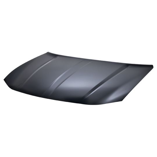 tong-yang-cofre-aluminio-dodge-charger-2015-2018-charger-0