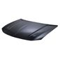 tong-yang-cofre-lamina-dodge-charger-2015-2018-charger-0