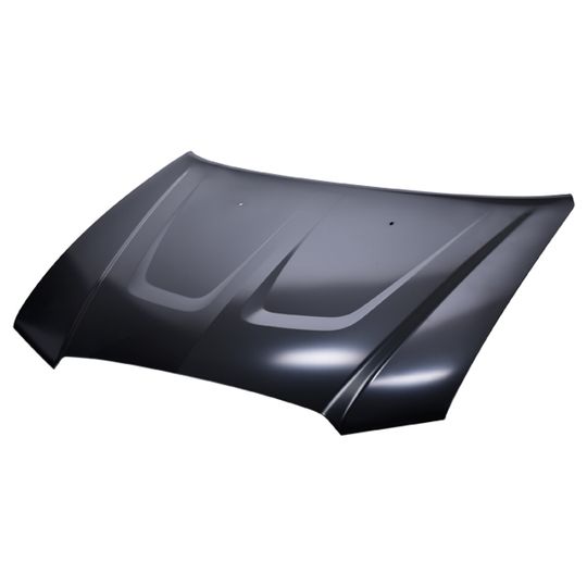 tong-yang-cofre-aluminio-dodge-charger-2011-2014-charger-0 tong-yang-cofre-aluminio-dodge-charger-2011-2014-charger-0