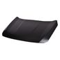tong-yang-cofre-lamina-honda-accord-2018-2021-accord-0