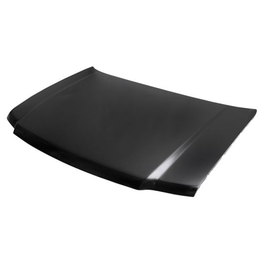 tong-yang-cofre-lamina-ford-expedition-2003-2006-expedition-0