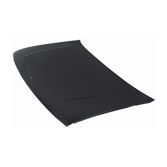 tong-yang-cofre-dodge-caravan-1991-1995-caravan-0