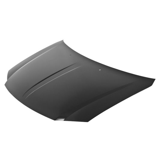 tong-yang-cofre-lamina-dodge-caravan-2008-2010-caravan-0 tong-yang-cofre-lamina-dodge-caravan-2008-2010-caravan-0