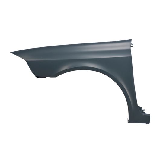 tong-yang-salpicadera-delantera-lado-conductor-renault-laguna-2005-2007-laguna-0