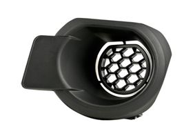 Rejilla Defensa Delantera Lado Conductor