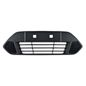 tong-yang-rejilla-defensa-delantera-ford-fiesta-ikon-2011-2012-ikon-0