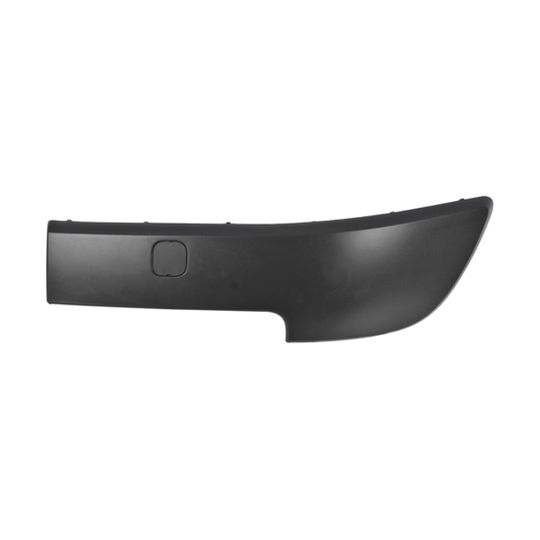 tong-yang-moldura-para-defensa-delantera-lado-conductor-renault-scenic-2003-2006-scenic-0