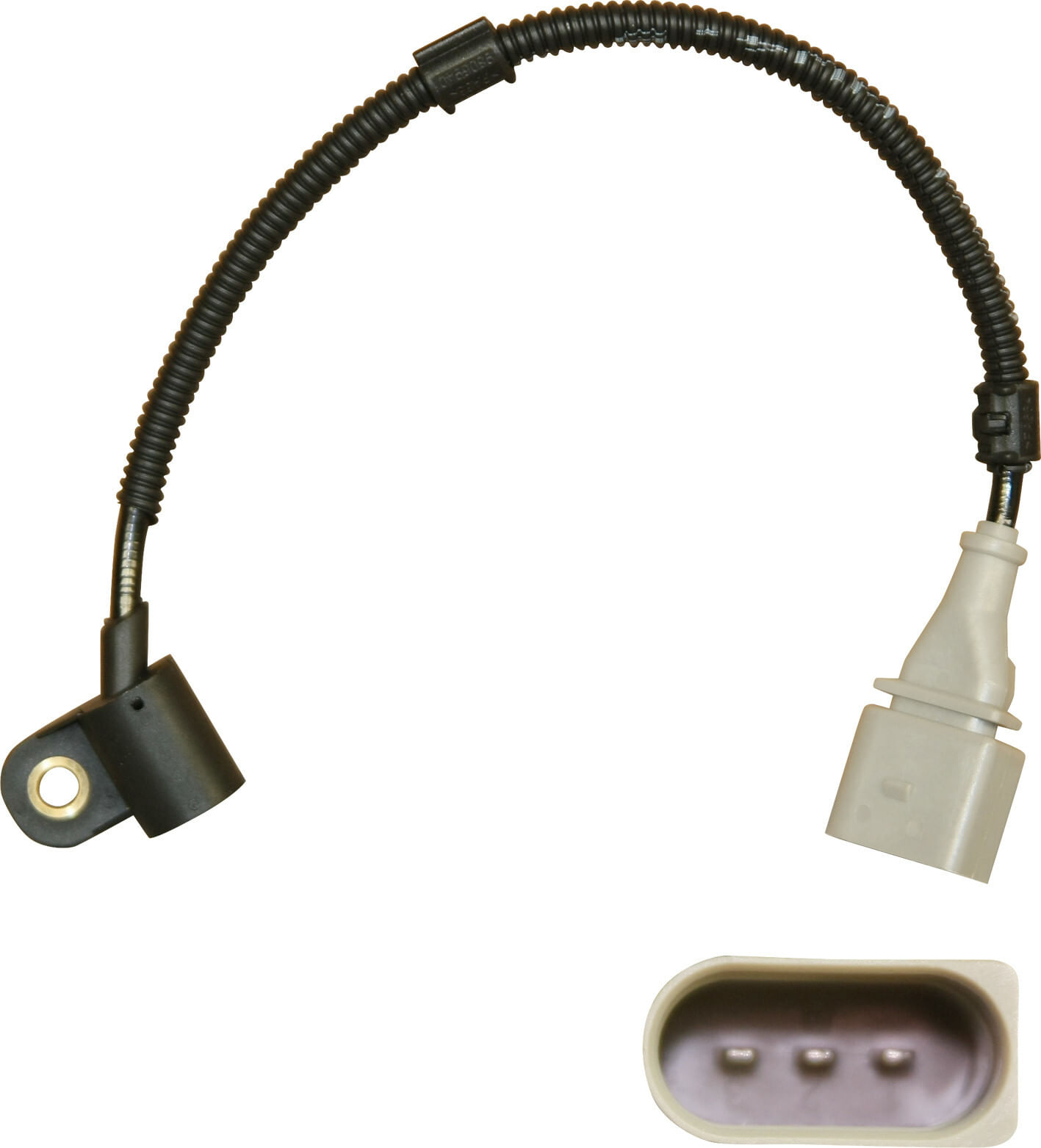 Sensor De Posición Del Árbol De Levas (Cmp)