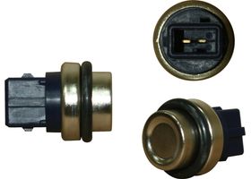 Sensor De Temperatura Del Refrigerante (Cts)