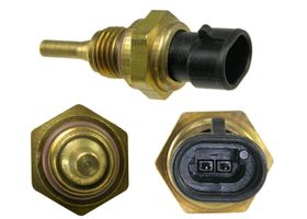 Sensor De Temperatura Del Refrigerante (Cts)