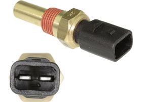 Sensor De Temperatura Del Refrigerante (Cts)