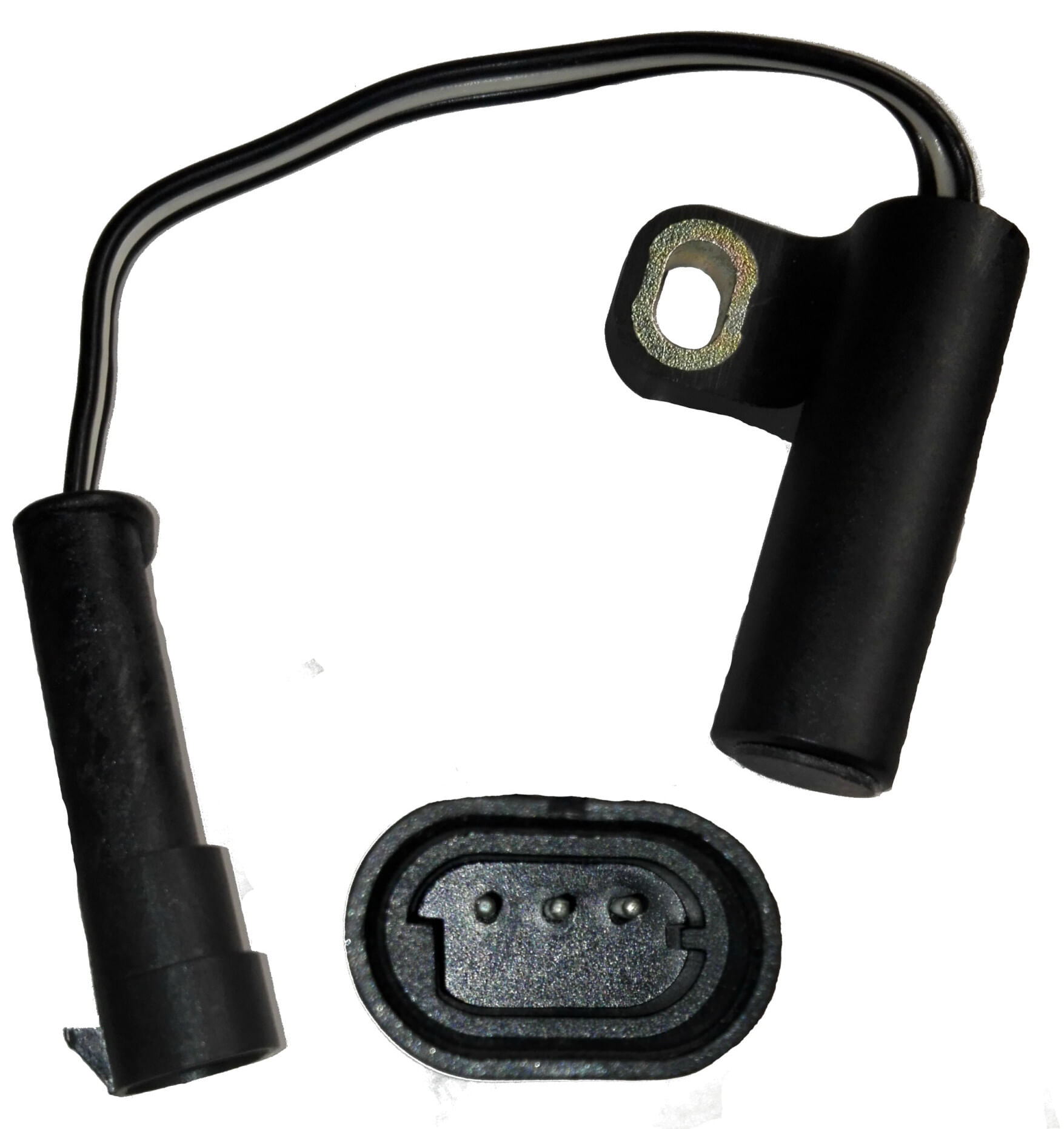 Sensor De Posición Del Cigüeñal (Ckp)