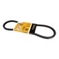 continental-banda-accesorios-v-bomba-de-agua-jeep-wagoneer-1985-1987-wagoneer-l4-2-1l-0