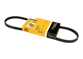 Banda Accesorios Serpentina Alternador