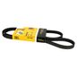 continental-banda-accesorios-serpentina-ventilador-y-direccion-hidraulica-infiniti-q45-1990-1996-q45-v8-4-5l-0