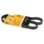 continental-banda-accesorios-serpentina-direccion-hidraulica-chrysler-sebring-1995-1999-sebring-l4-2-0l-0