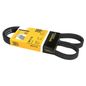 continental-banda-accesorios-serpentina-renault-kangoo-2004-2012-kangoo-l4-1-6l-0