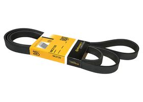 Banda Accesorios Serpentina