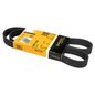 continental-banda-accesorios-serpentina-aire-acondicionado-y-alternador-acura-cl-1998-1999-cl-l4-2-3l-0