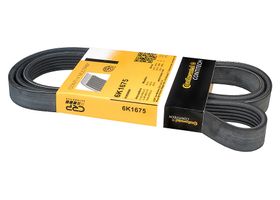 Banda Accesorios Serpentina Alternador
