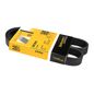 continental-banda-accesorios-serpentina-mini-cooper-2013-2015-cooper-paceman-l4-1-6l-0