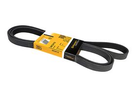 Banda Accesorios Serpentina