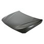 cofre-bw-serie-3-12-14-4-puertas-42858-64424-cofre-para-bmw-serie-3-2012-2014-tong-yang