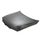 cofre-bw-x3-05-10-42859-64437-cofre-para-bmw-x3-2005-2010-tong-yang