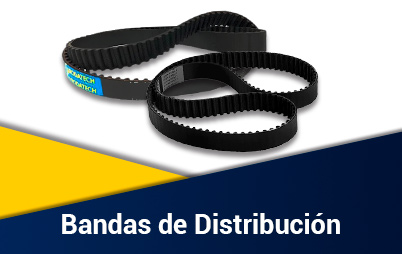 Bandas De Distribución