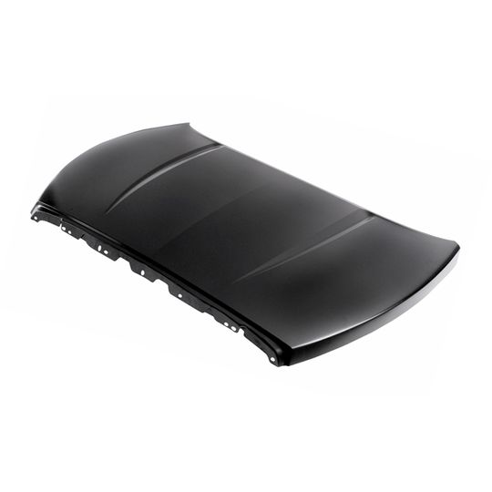 cofre-dg-dakota-04-07-42965-55331-cofre-para-dodge-dakota-2004-2007-tong-yang