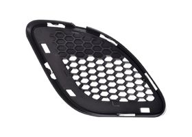Rejilla Defensa Delantera Negra Lado Conductor