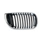 parrilla-bw-serie-3-02-05-4-puertas-der-51858-64820-parrilla-para-bmw-serie-3-2002-2005-tong-yang-51858-derecho-pasajero