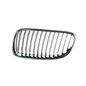 parrilla-bw-serie-3-11-13-2-puertas-izq-51870-64851-parrilla-para-bmw-serie-3-2011-2013-tong-yang-51870-izquierdo-piloto