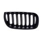 parrilla-bw-x3-05-06-negra-der-51889-64862-parrilla-para-bmw-x3-2005-2006-tong-yang-51889-derecho-pasajero