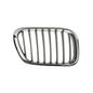 parrilla-bw-x5-00-04-cromada-der-51897-64874-parrilla-para-bmw-x5-2000-2004-tong-yang-51897-derecho-pasajero