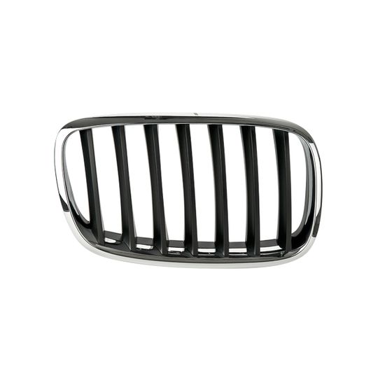 parrilla-bw-x5-07-10-cromada-negro-der-51911-64890-parrilla-para-bmw-x5-2007-2010-tong-yang-51911-derecho-pasajero