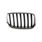 parrilla-bw-x5-07-10-cromada-negro-der-51911-64890-parrilla-para-bmw-x5-2007-2010-tong-yang-51911-derecho-pasajero