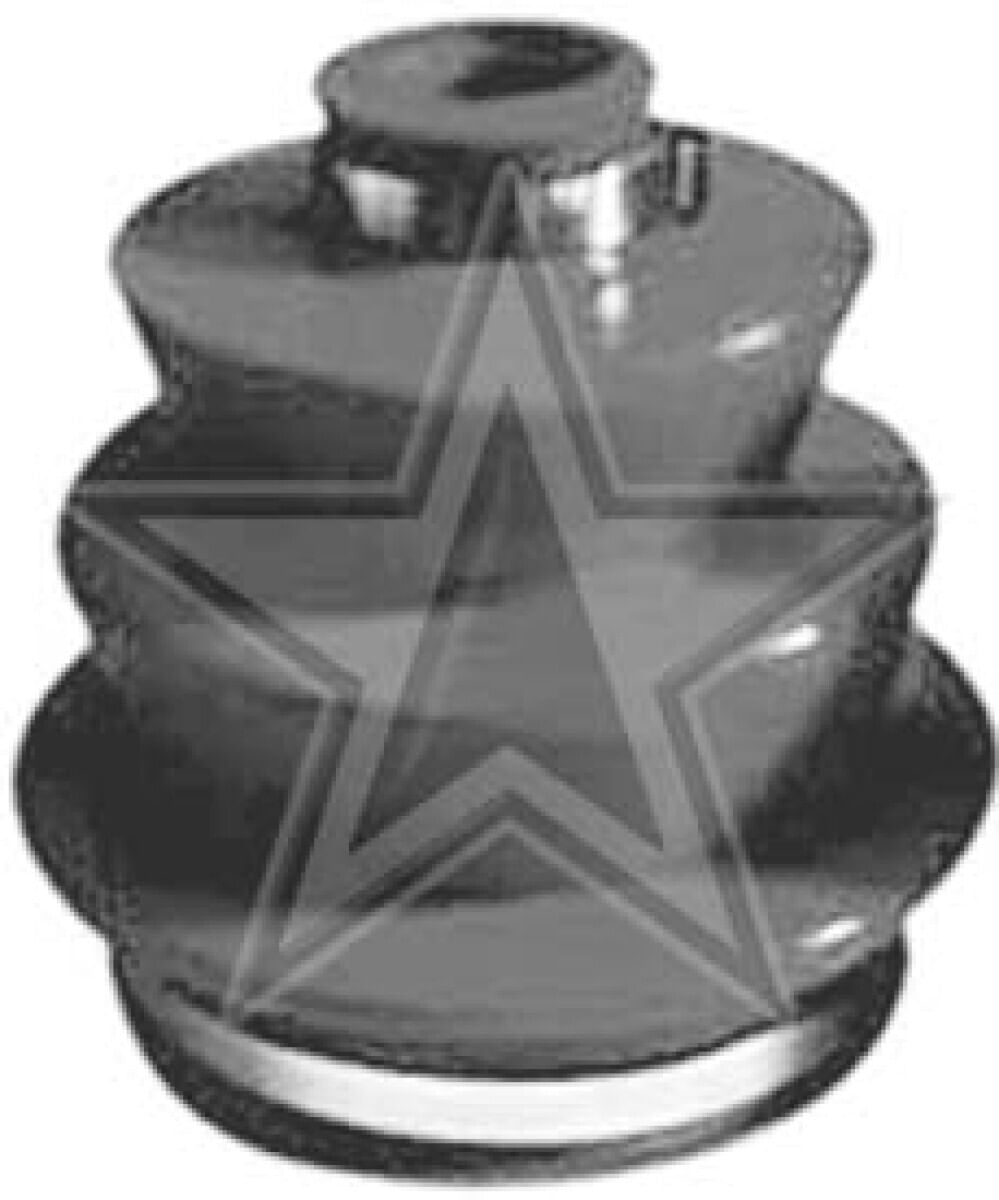 Cubre Polvo Lado Rueda