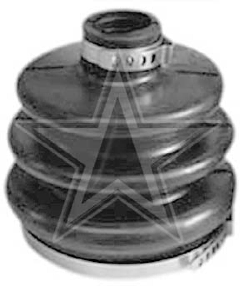 Cubre Polvo Lado Rueda