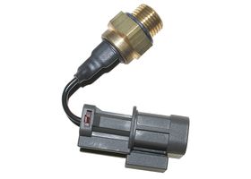 Interruptor De Temperatura