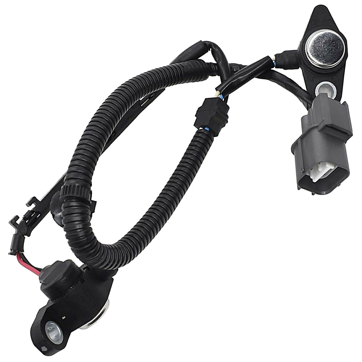 Sensor De Posición Del Cigüeñal (CKP)