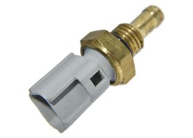 Sensor De Temperatura Del Refrigerante (Cts)