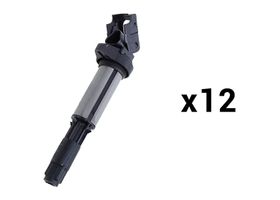 Kit De 12 Bobinas De Encendido