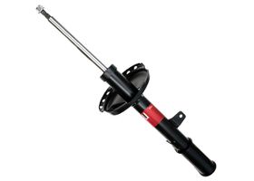 Amortiguador Gas Trasero Lado Pasajero