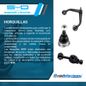 Texto-de-linea-2281443